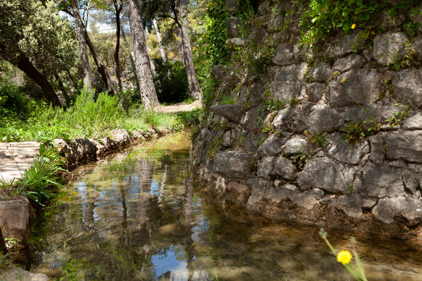 El manantial que nutre la piscina / alberca